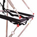 Close up of black bar attached to 4 springs as part of the trapeze attachment on a half trapeze reformer.